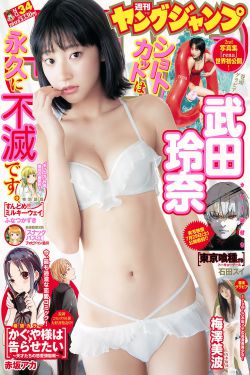特战荣耀免费观看